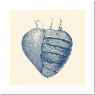 Heart Diagram - Vintage Anatomy Posters and Art